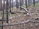photo thumbnail #6