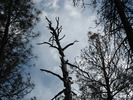 photo thumbnail #12