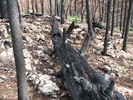 photo thumbnail #14