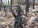 photo thumbnail #15