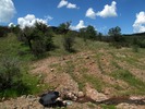 photo thumbnail #10