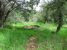 photo thumbnail #4