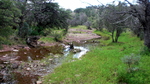 photo thumbnail #9