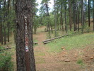 photo thumbnail #2