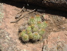 photo thumbnail #4