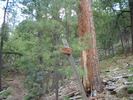 photo thumbnail #8