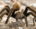 photo thumbnail #10