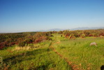 photo thumbnail #3