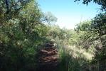 photo thumbnail #4