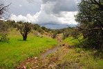 photo thumbnail #13