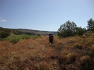 photo thumbnail #1