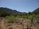 photo thumbnail #5