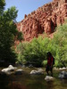 photo thumbnail #10