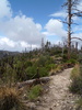 photo thumbnail #8