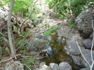 photo thumbnail #11