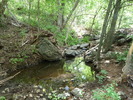 photo thumbnail #12