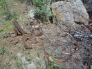 photo thumbnail #13