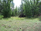 photo thumbnail #14