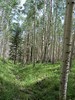 photo thumbnail #5