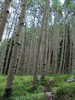 photo thumbnail #6
