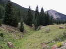 photo thumbnail #10
