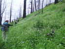 photo thumbnail #4