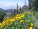 photo thumbnail #11