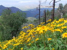 photo thumbnail #12