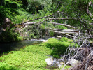 photo thumbnail #14