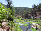 photo thumbnail #15