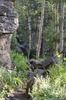 photo thumbnail #6