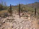 photo thumbnail #2