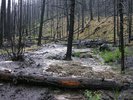 photo thumbnail #7