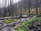 photo thumbnail #8