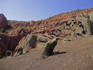 photo thumbnail #5