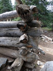 photo thumbnail #14