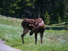 photo thumbnail #8