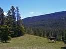 photo thumbnail #9