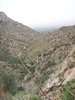 photo thumbnail #15