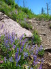 photo thumbnail #5