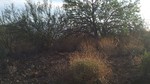 photo thumbnail #4