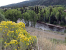 photo thumbnail #3