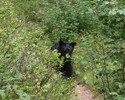 photo thumbnail #8