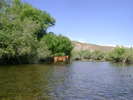 photo thumbnail #7