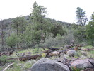 photo thumbnail #9