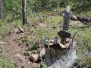 photo thumbnail #14