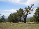 photo thumbnail #15
