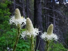 photo thumbnail #1