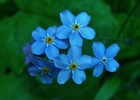 photo thumbnail #10