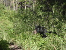 photo thumbnail #9